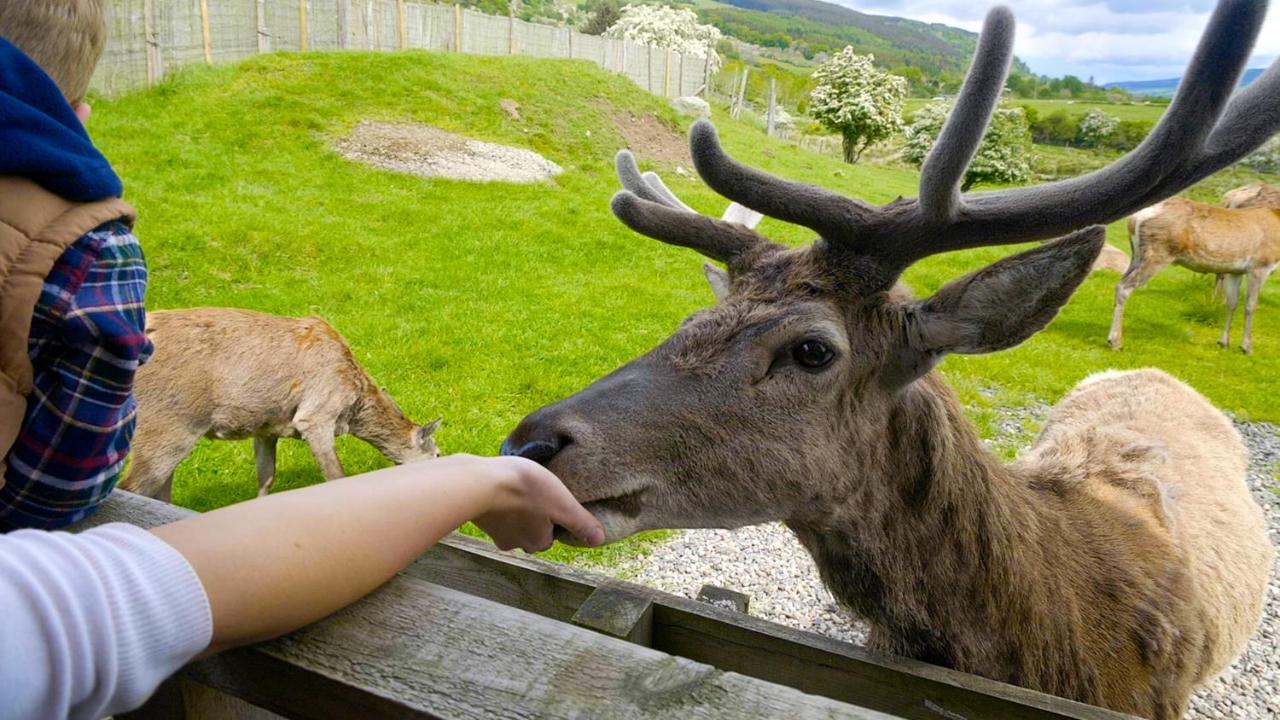 Moness Resort Aberfeldy Luaran gambar